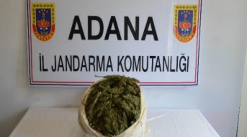 Yolcu Otob&uuml;s&uuml;ne Uyuşturucu Baskını