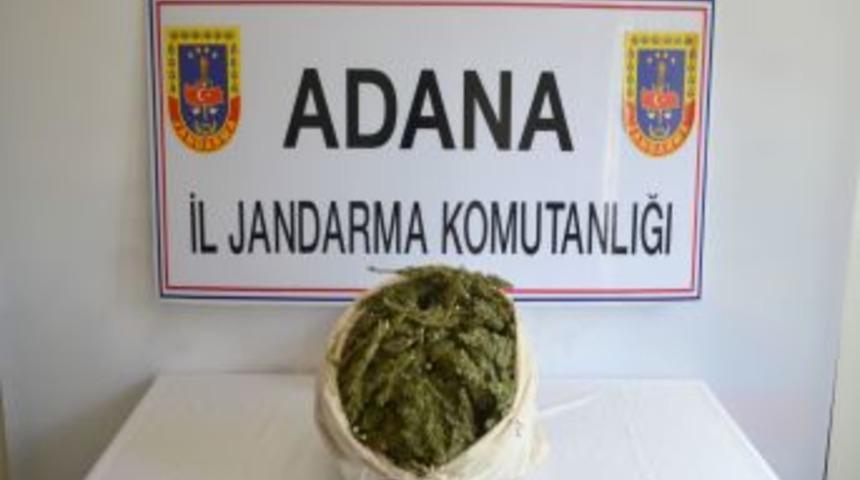 Yolcuların Bagajında 5 Kilo Esrar Ele Ge&ccedil;irildi