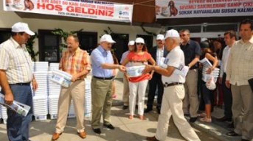 Beykoz'da sokak hayvanları i&ccedil;in 2 bin su kabı