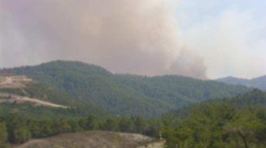 Sınır Hattında Yine Orman Yangını