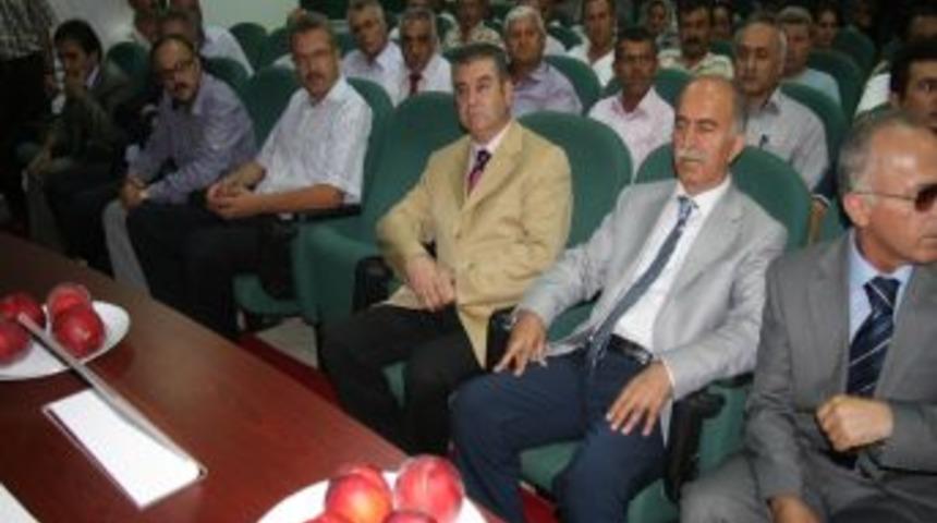 Bursa, Şeftalide Liderliği Çanakkale’ye Kaptırdı