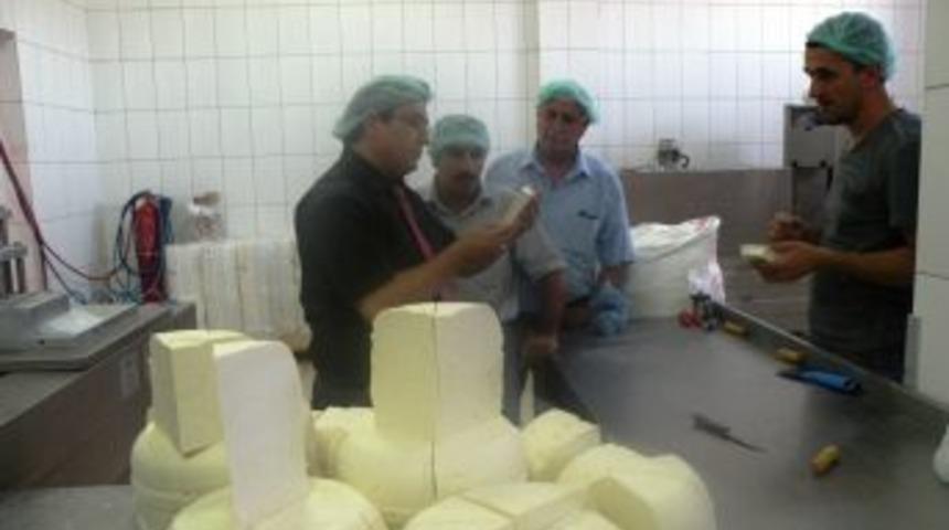 Karadağ, Peynir &Uuml;retim Tesisinde Incelemelerde Bulundu