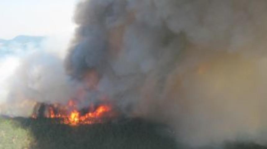 Banaz&rsquo;daki Orman Yangını S&ouml;nd&uuml;r&uuml;ld&uuml;