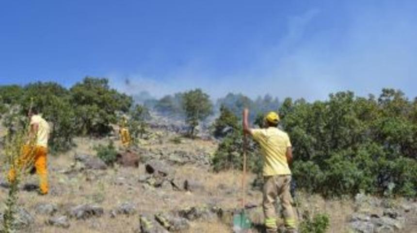 Niğde'deki Orman Yangını S&uuml;r&uuml;yor