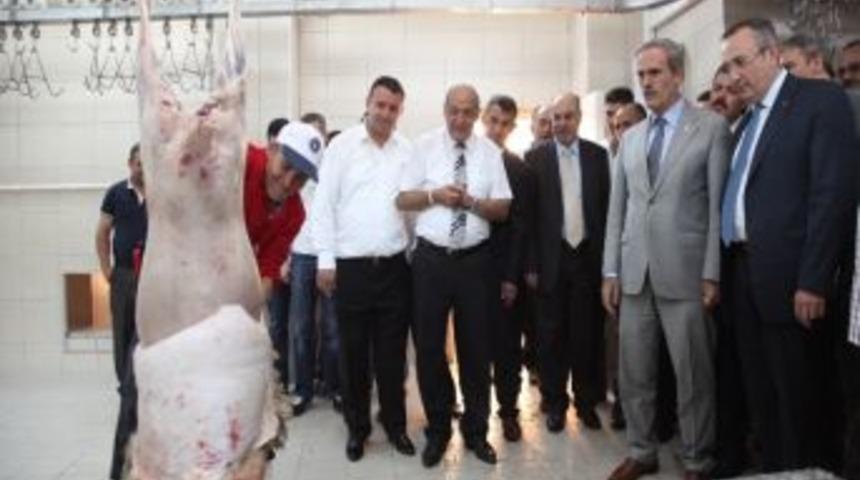 Ak&ccedil;alar Mezbahası B&ouml;lge Ekonomisine Y&ouml;n Verecek