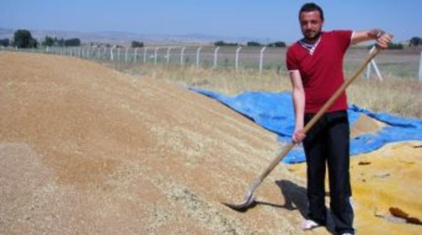 Yozgatlı &Ccedil;ift&ccedil;iler Hububatta Rekolde D&uuml;ş&uuml;kl&uuml;ğ&uuml;nden Dolayı Bu Yıl Sevinemedi