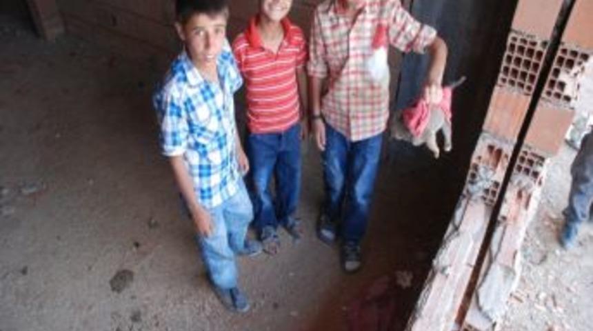 Mahsur Kalan K&ouml;pek &Ccedil;ocuklar Tarafından Kurtarıldı