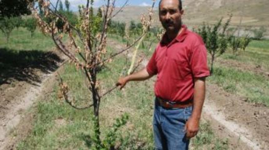 Muşlu &Ccedil;ift&ccedil;iden İlgin&ccedil; Kampanya: "yılanı Getir, Parayı G&ouml;t&uuml;r"