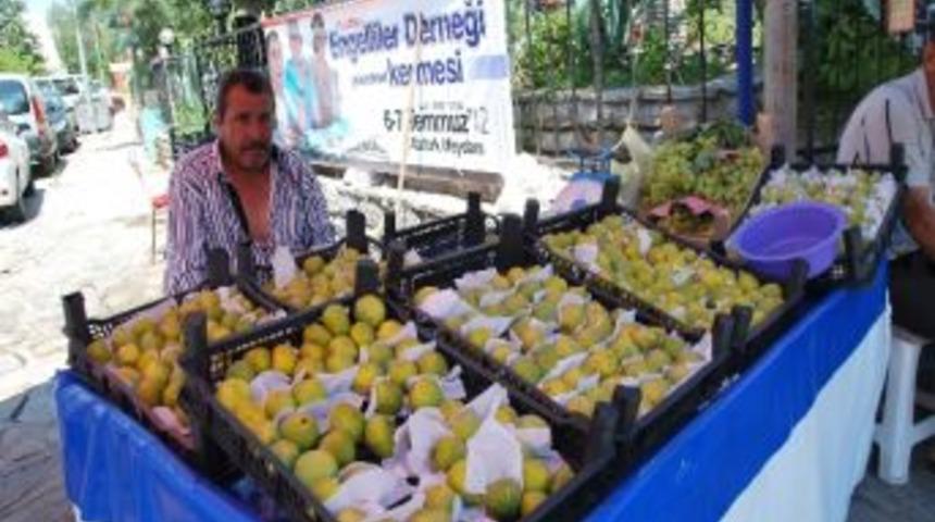 Başka İllerden Getirilen İncirler Aydın İncirinin İtibarını Zedeliyor