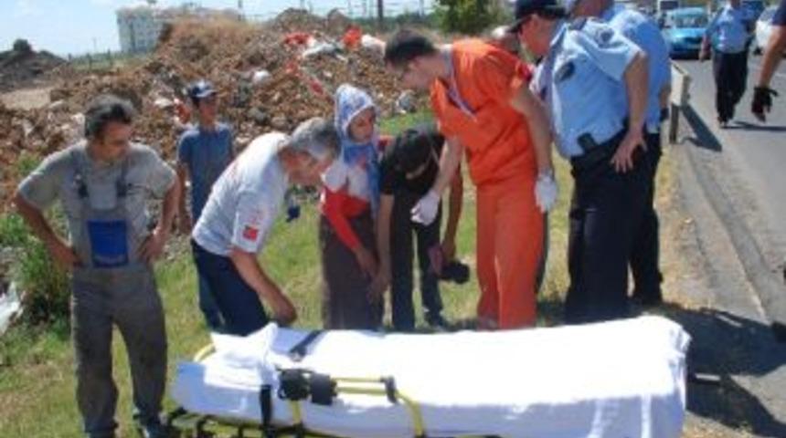 Sinek Kazaya Neden Oldu