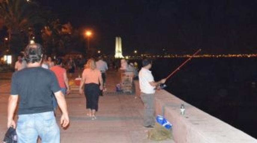 Kediler İ&ccedil;in Balık Tutuyorlar