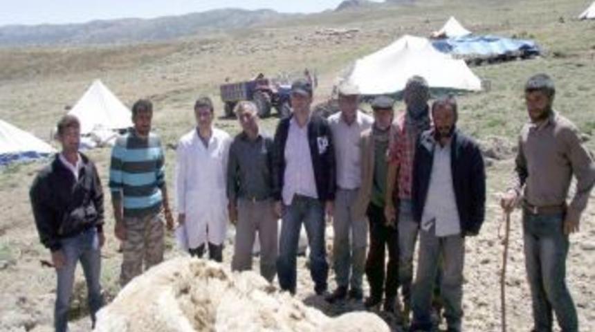 Yaylacılar Elektrik, Yol Ve Mera Sıkıntılarının Çözülmesini Istedi