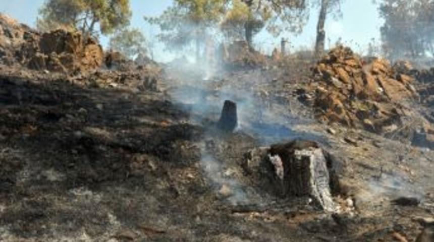 Dalyan'da Orman Yangını