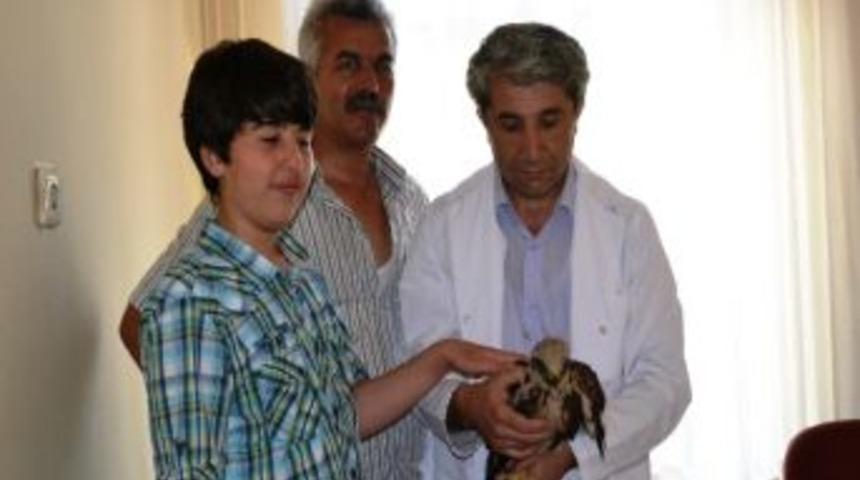 K&uuml;&ccedil;&uuml;k Doğa Sever Alag&ouml;z&rsquo;den &Ouml;rnek Davranış