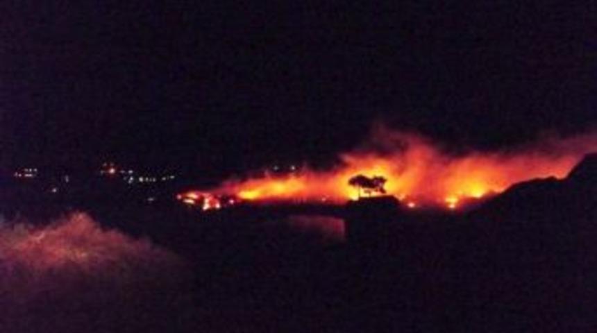 Ayvalık&rsquo;ta &Ccedil;&ouml;pl&uuml;k Yangını Korkuttu