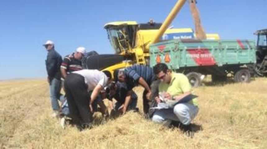 Sorgun Gıda Tarım Ve Hayvancılık İl&ccedil;e M&uuml;d&uuml;rl&uuml;ğ&uuml;nden Dane Kaybı Uyarısı