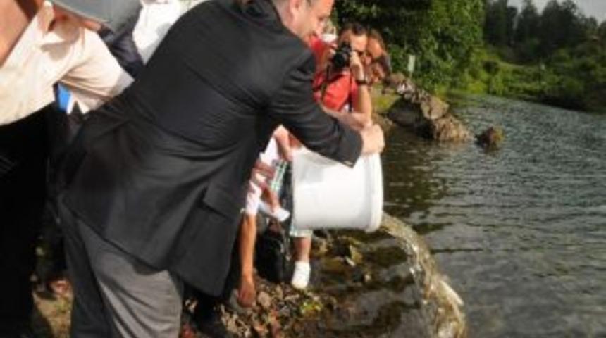 Ulug&ouml;l&rsquo;e 15 Bin Alabalık