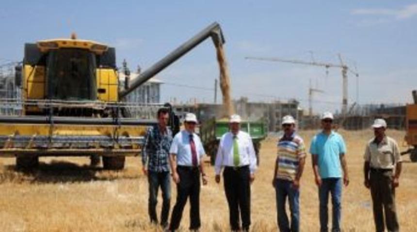 Rekt&ouml;r Prof. Dr. Battal Bi&ccedil;erd&ouml;verle Arpa Hasadına Katıldı