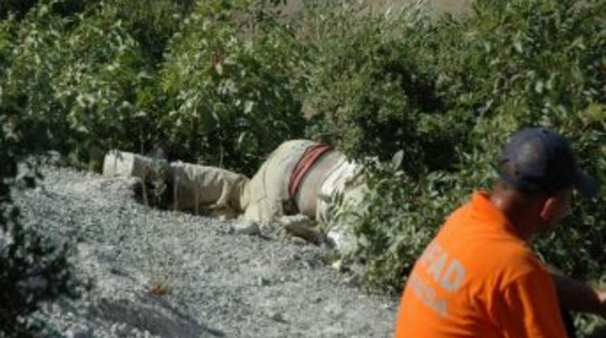 Amerikalı Arkeolog &Ouml;l&uuml; Bulundu