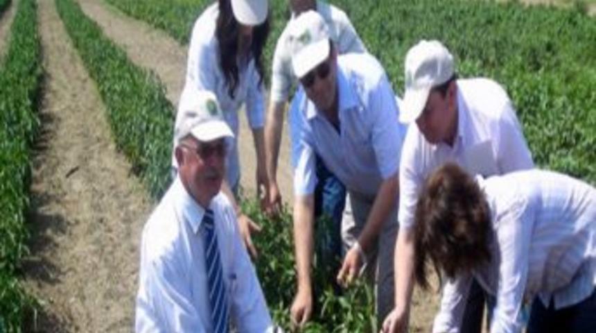 Bah&ccedil;e Bitkileri B&ouml;lge Bilgi Alışveriş Toplantısı