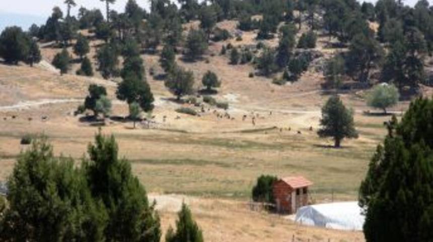 Atalarının Hayvan Otlattığı Yaylalarda Serinliyorlar