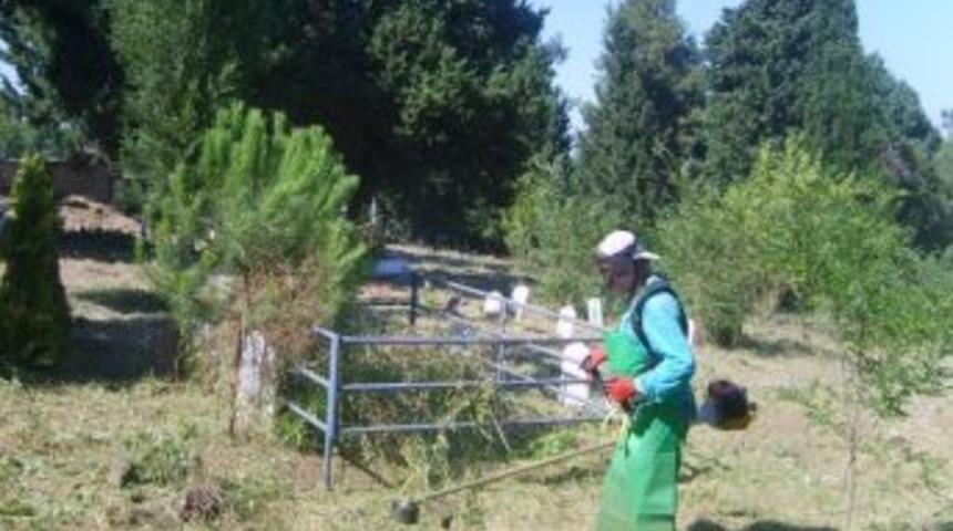 Yangına Karşı Uzayan Otlar Kesiliyor