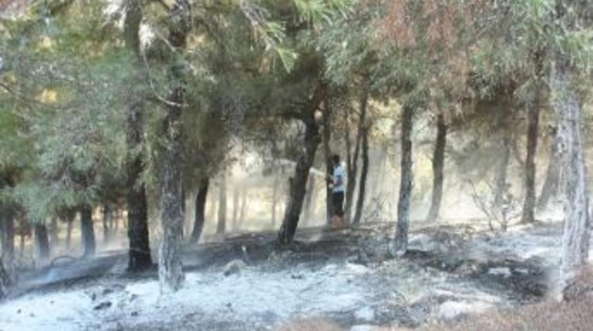 Polisin Dikkati Yangının B&uuml;y&uuml;mesini &Ouml;nledi