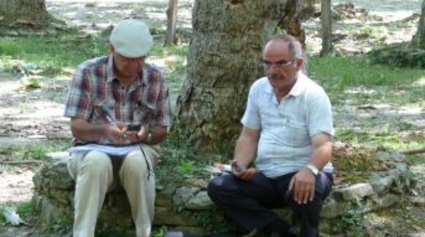 &Ccedil;atalzeytin&rsquo;de Anıt Ağa&ccedil;lar Koruma Altına Alınıyor