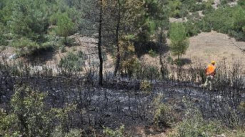 Piknik Ateşi Ormanı Yakıyordu