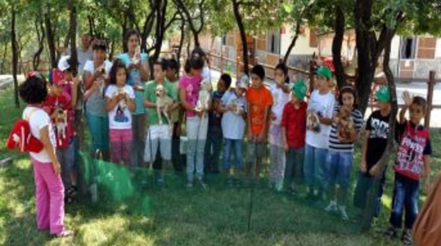 &Ccedil;ocuk Esirgeme Kurumu &Ccedil;ocukları, Hayvanlarla Vakit Ge&ccedil;irdi