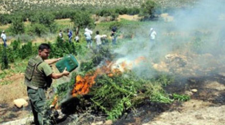 1.7 milyar liralık uyuşturucu ele ge&ccedil;irildi