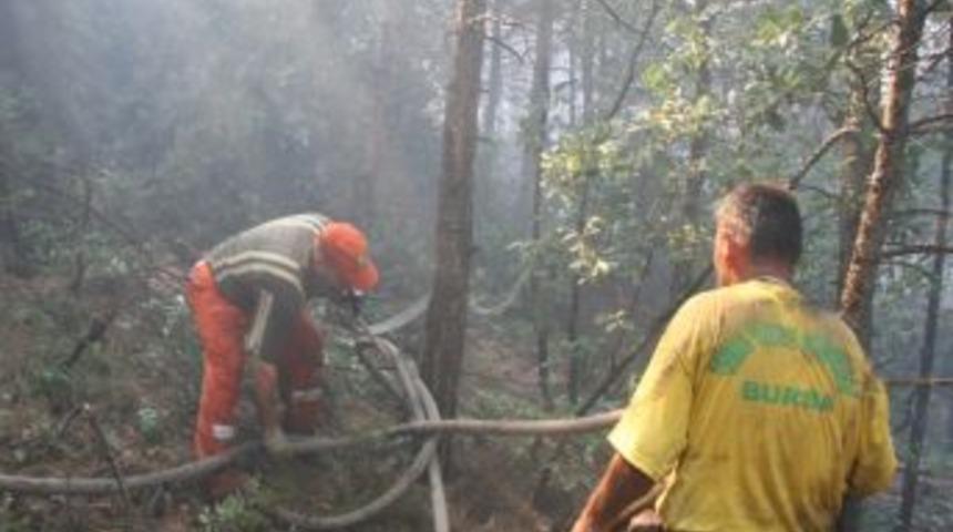 Uludağ&rsquo;ın Eteklerinden Orman Yangını