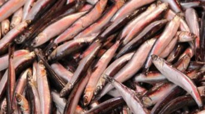 Su &Uuml;r&uuml;nleri &Uuml;retimi Y&uuml;zde 7.73 Arttı