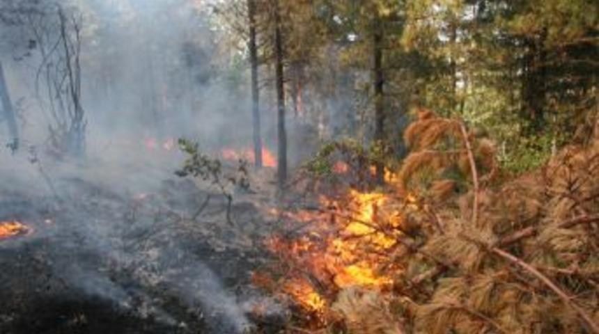 Uludağ&rsquo;daki Yangına 3 Helikopter M&uuml;dahale Etti
