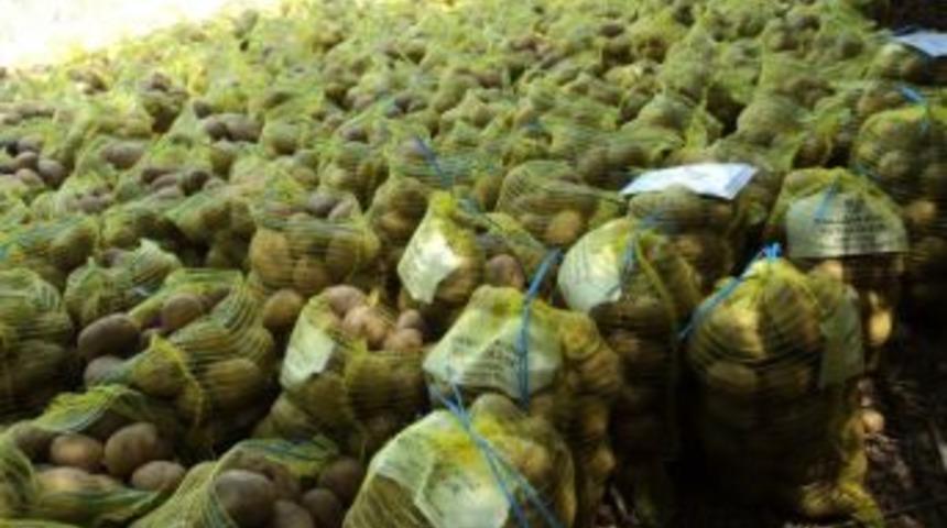 &Ouml;demişli Kadınların Hazırladığı Patatesler Torbalı'da İhtiya&ccedil; Sahiplerine Dağıtılıyor