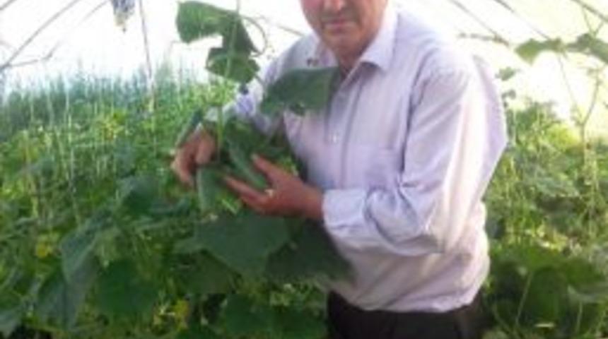 Hasankale Salatalığı G&ouml;r&uuml;c&uuml;ye &Ccedil;ıktı