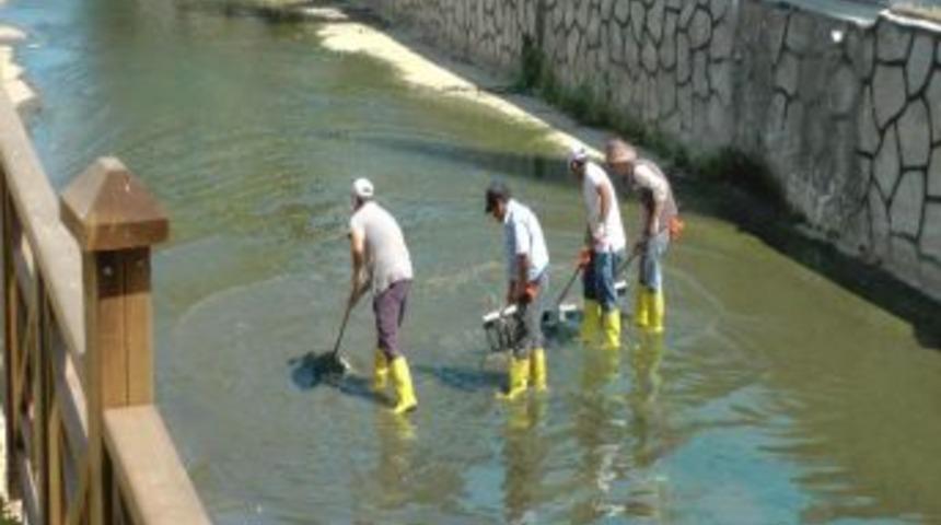 Ak&ccedil;akoca'da Dereler Temizleniyor