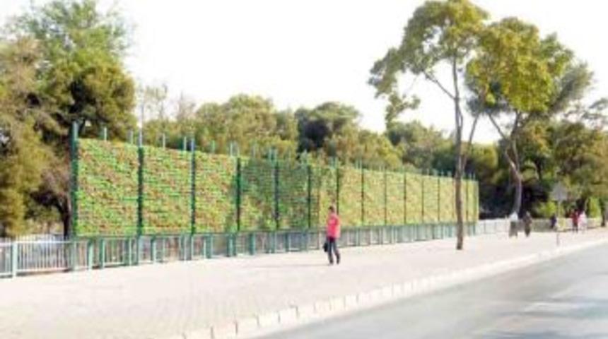 'Duvar Bah&ccedil;e' Ilgi &Ccedil;ekiyor