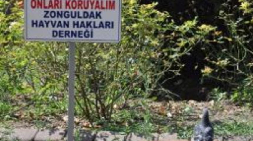 Sıcaklar Hayvanları Da Etkiledi