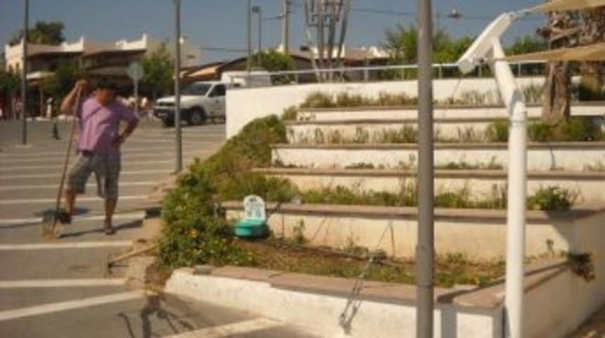 Sokak Hayvanları İ&ccedil;in Yeni Uygulama