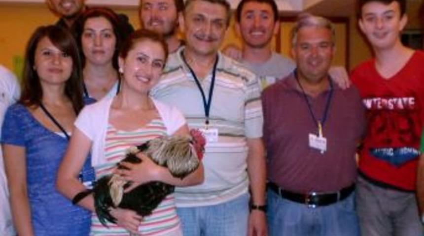 Akademisyenler Altı Cinsi Olan Denizli Horozunu Inceledi