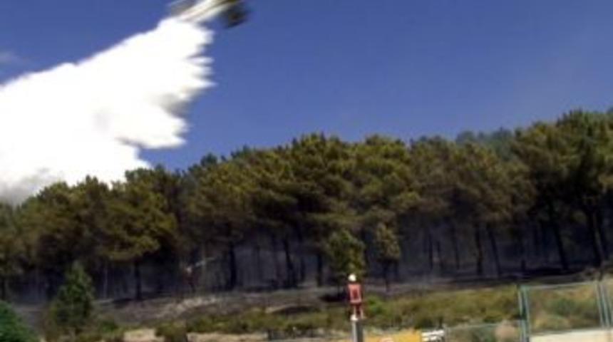 Maltepe&rsquo;de Orman Yangını