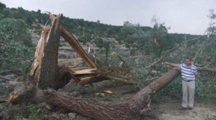 K&uuml;tahya&rsquo;da Hortum Dehşeti