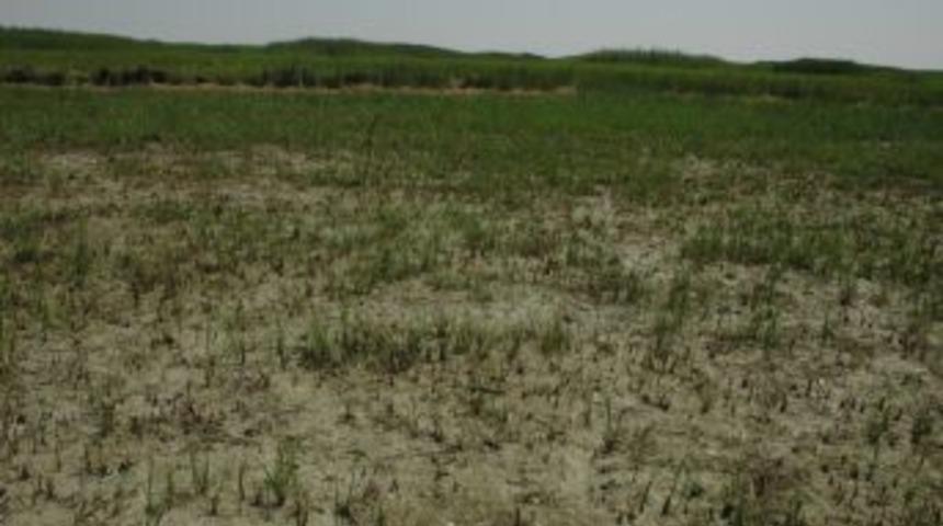 Hoca&rsquo;nın Maya &Ccedil;aldığı G&ouml;l&uuml;n Suyu Azalmaya Devam Ediyor