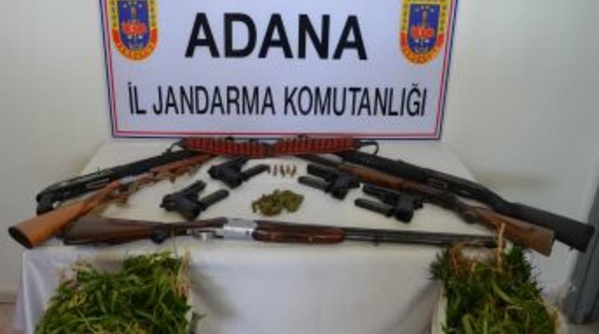 Jandarmadan Silah Ve Kenevir Operasyonu