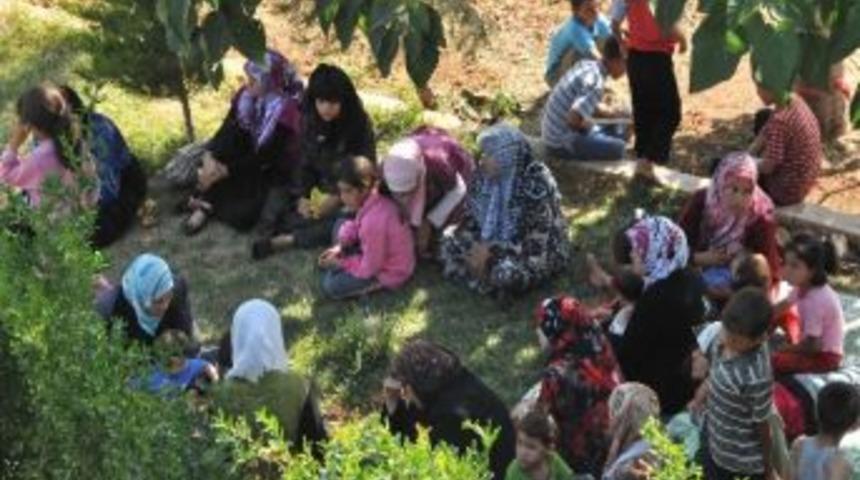 Suriyeli Sığınmacıların Kaldığı Konteyner Kentte Olaylar Bastırıldı