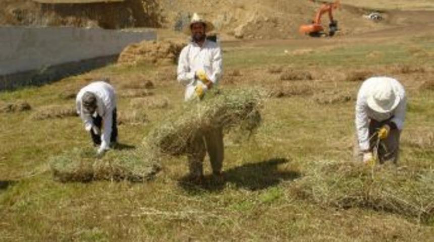 Tarım İş&ccedil;ileri 35 Derece Sıcakta &Ccedil;alışıp Oru&ccedil;larını Tutmaya &Ouml;zen G&ouml;steriyorlar