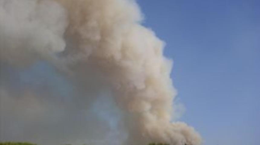 T&uuml;rkiye-Suriye Sınırına Sıfır Noktadaki Orman Yangınına M&uuml;dahale Ediliyor