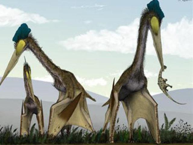 U&Ccedil;AN DİNOZORLAR 1