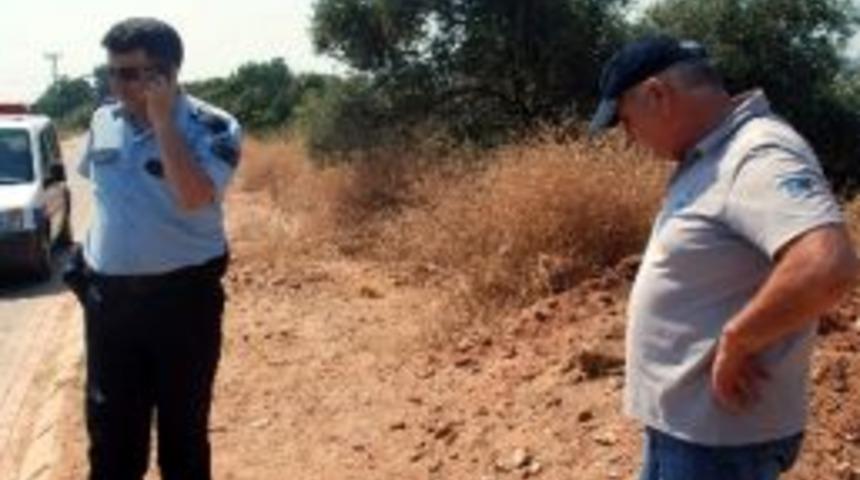 Hırsızlar Engel Tanımıyor